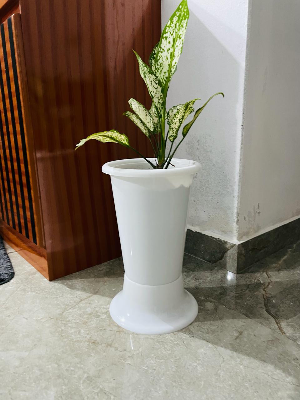 INDOOR FLOWER POT