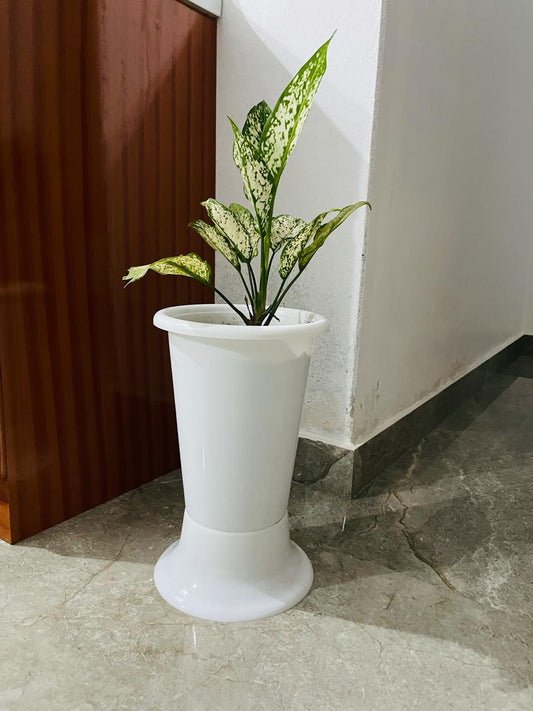 INDOOR FLOWER POT