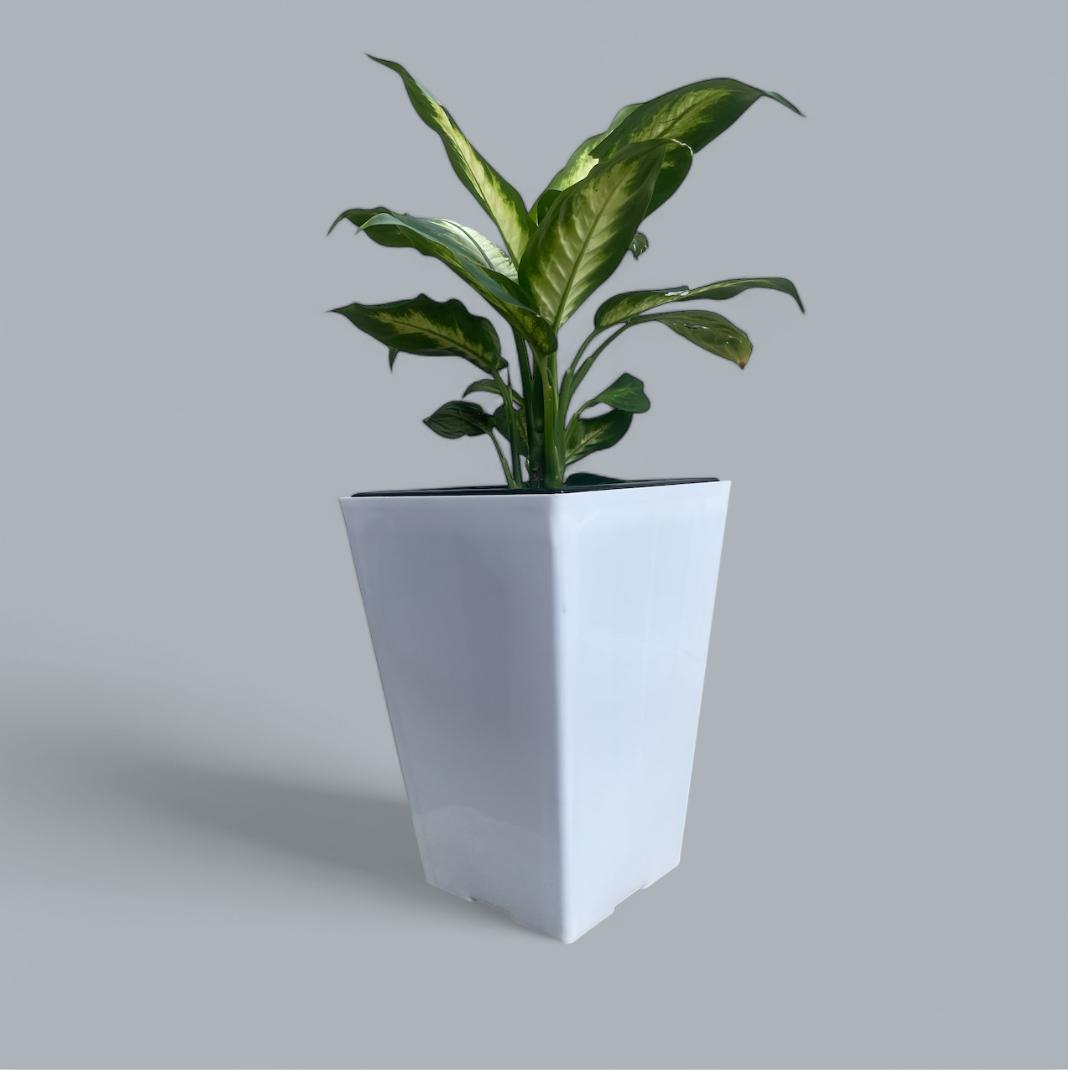 Square Face Plastic Tower Pot